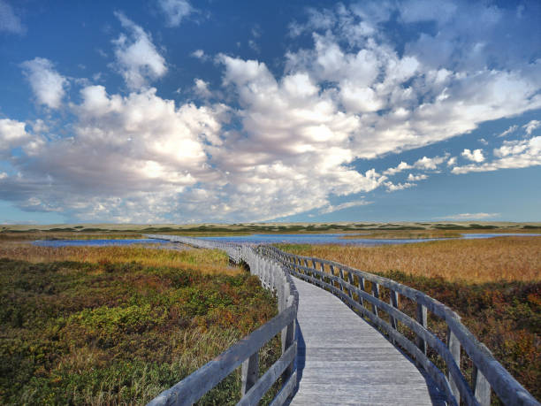 istock Prince Edward Island (PEI). Canada 823640378