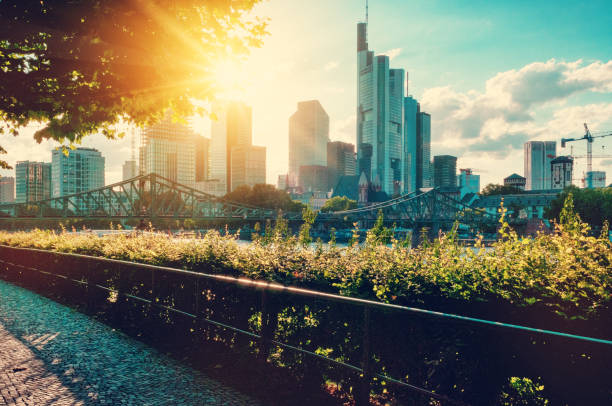 istock Skyline of Frankfurt am Main 823640852