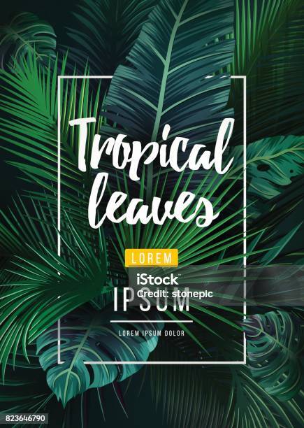 Bright Tropical Background With Jungle Plants Exotic Pattern With Palm Leaves Stock Illustration - Download Image Now