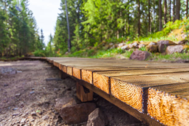 Wooden paths in the spring forest of Karelia