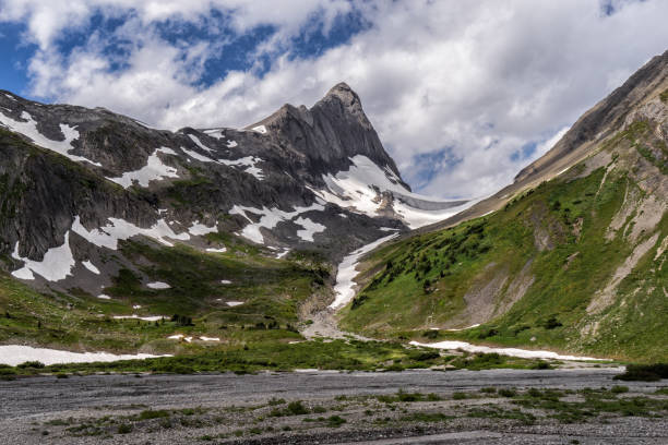 istock Mt. Northover, Canadian Rockies.  Peter Lougheed Provincial Park, Alberta 823655686