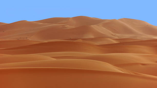 istock Sand dunes in the desert in northwest africa 823661302