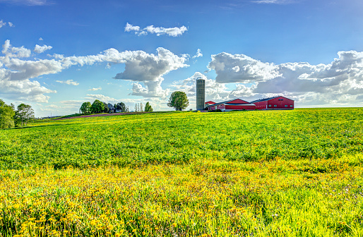 Landscape view of farm in Ile D'Orleans, Quebec, Canada with red building