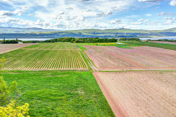 aerial stadtbild landschaftsansicht ackerland in ile d'orleans, quebec, kanada - lawrence quebec canada north america stock-fotos und bilder