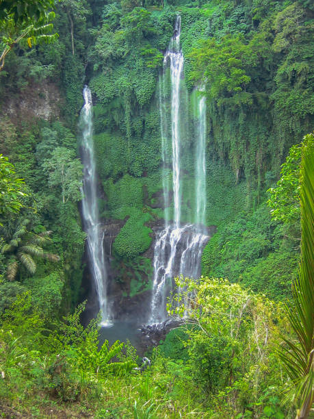 istock Beautiful waterfall in the jungle 823671570