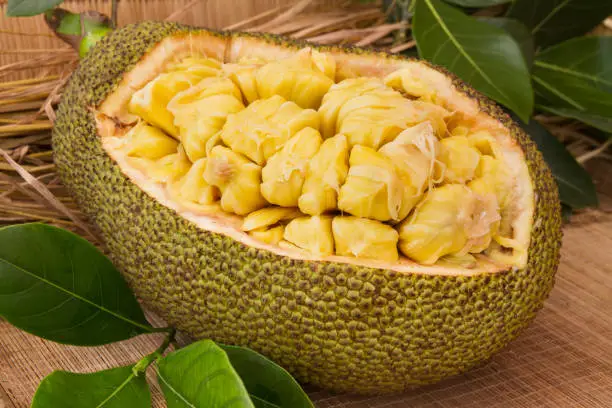 Fresh ripe jackfruit. Fresh sweet jackfruit segment ready for eat. Cutting jackfruit. Fresh sweet Jackfruit segment ready for eat. Tropical fruit. Selective focus.