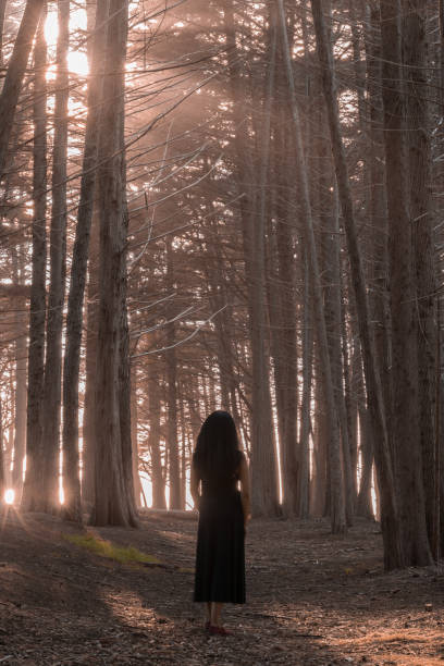 istock Woman Standing in Cypress Tree Forest. 823675274