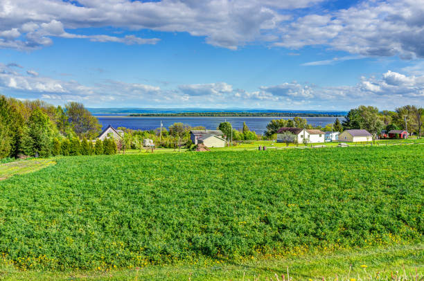 stadtbild landschaftsbild ackerland in ile d'orleans, quebec, kanada - lawrence quebec canada north america stock-fotos und bilder