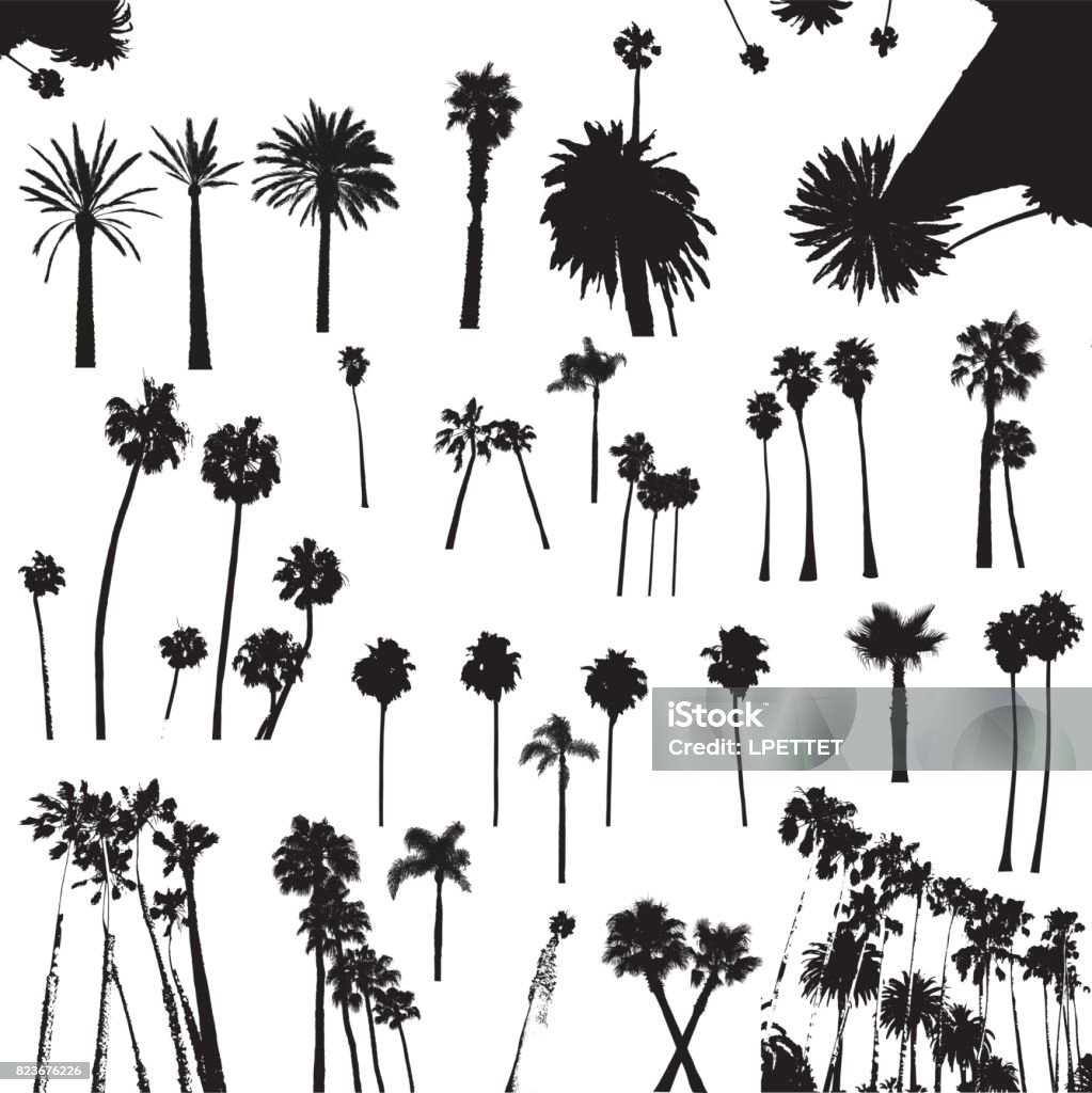 Palm Trees A vector illustration of palm trees in an outline collection. Palm Tree stock vector