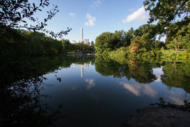 Reflection of trees and buildings in summer with blue sky