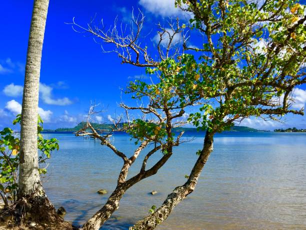 istock Coastline of Bora Bora 823683862