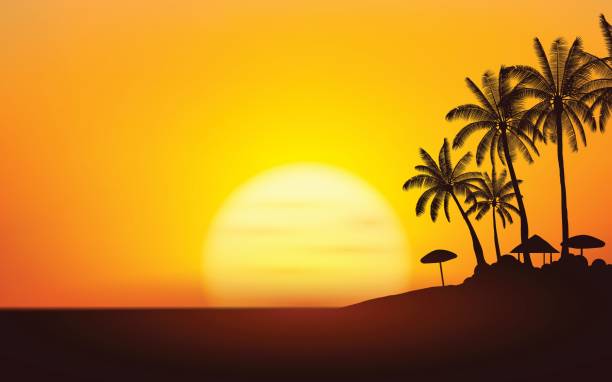 illustrations, cliparts, dessins animés et icônes de palmier de silhouette et parasol plage sur l’île sous fond de ciel coucher de soleil - tropical climate florida backgrounds island