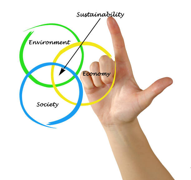 Presentation of diagram of sustainability