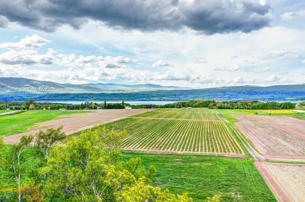 aerial cityscape landscape view of farmland in ile d'orleans, quebec, canada - lawrence quebec canada north america imagens e fotografias de stock