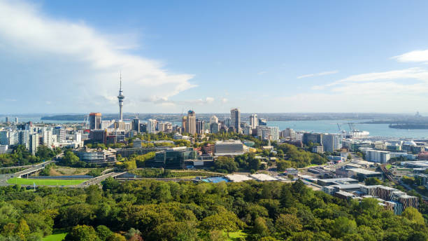 Aerial view on Auckland city center with Waitemata Harbour on the background. New Zealand View on CBD from Auckland Domain, Auckland, New Zealand auckland stock pictures, royalty-free photos & images