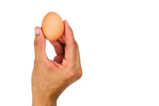 Man's hand holding egg on white background, healthy eating concept