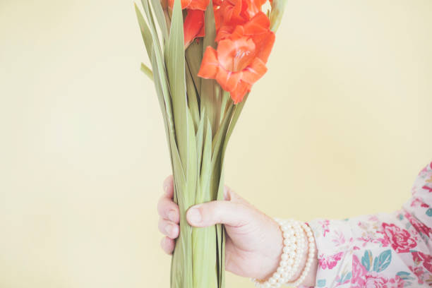 aus frauenhand halten blumen ausgeschnitten - gladiolus flower floral pattern single flower stock-fotos und bilder