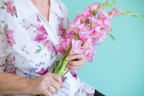 gladiolen in hand senior frau - gladiolus flower floral pattern single flower stock-fotos und bilder