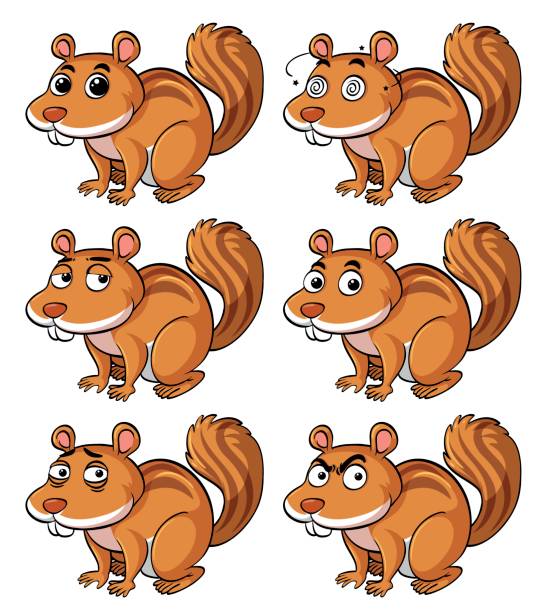 Brown squirrel with different facial expressions Brown squirrel with different facial expressions illustration background of the crazy squirrel stock illustrations