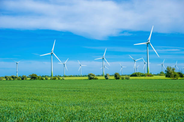 istock Windpark near Vadersdorf on the Fehmarn island 823698352