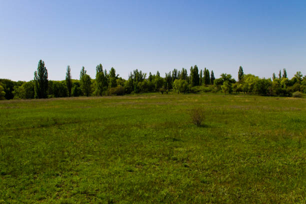 istock Spring landscape with green meadow and trees 823705452