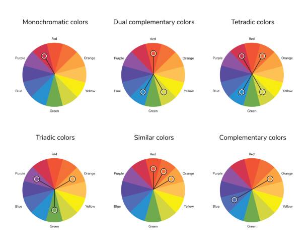 vector illustration of color circle, complementary, analogous, s vector illustration of color circle, complementary, analogous, similar, triadic, tetradic, dual complementary split complementary monochromatic color wheel stock illustrations