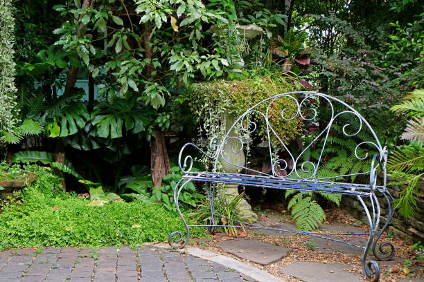 istock White colored wrought iron bench in the garden with tropical plants 823716372
