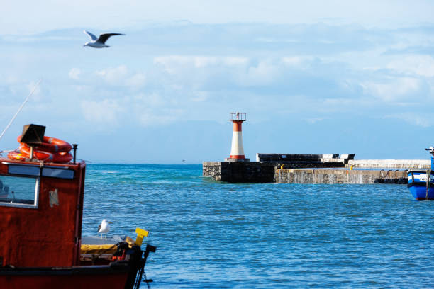 A seagull flies over the water at Kalk Bay harbour, past the lighthouse and a moored fishing boat with another gull sitting on it.