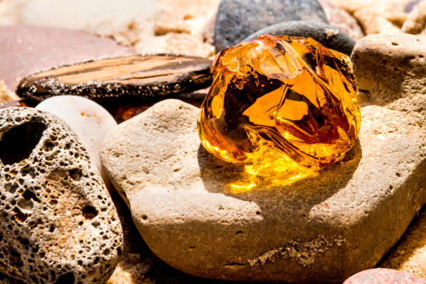 istock Amber on a beach of the Baltic Sea 823719252