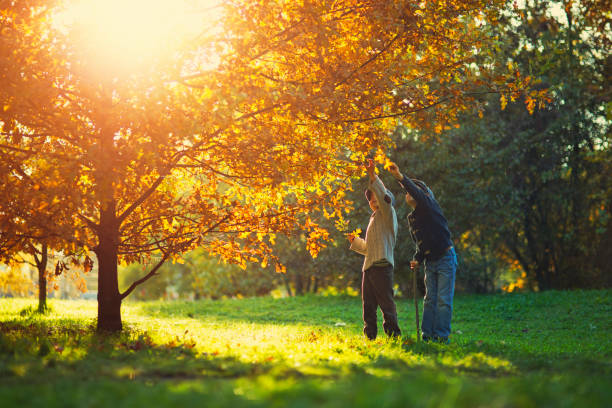two smiling brothers enjoy in a tree