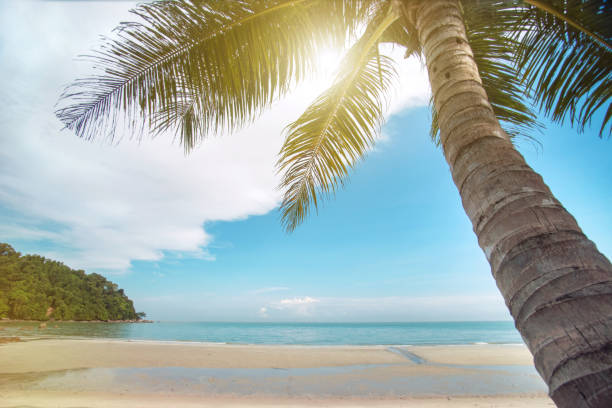 istock Beautiful tropical beach blue cloudy sky and deep blue sea. 823725492