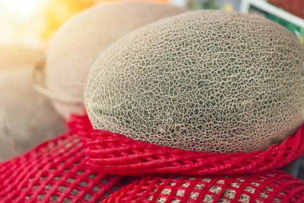 Photo of Japanese fruit Melon sale at the market. Most popular aroma fruity in japan in summer season.