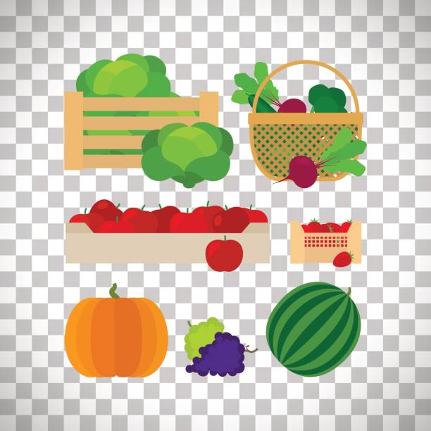 ilustraciones, imágenes clip art, dibujos animados e iconos de stock de cestas de la granja con verduras y frutas - vegetable basket