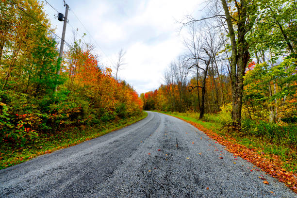 Country road in autumn