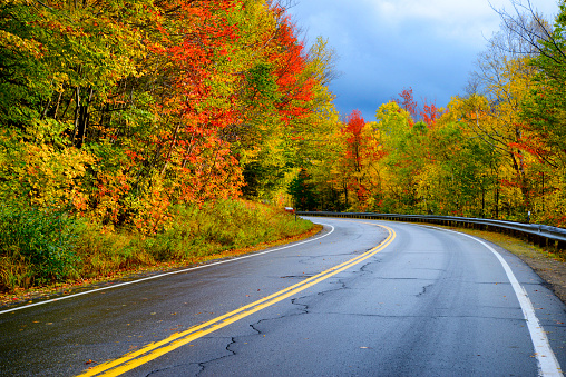 Country road in autumn