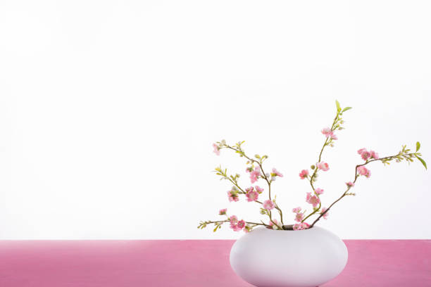 istock Spa. White vase with sakura  on a pink marble table. White background. 823744830