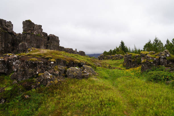 istock Thingvellir National Park in summer, Iceland. 823747974
