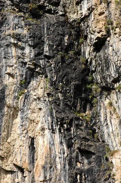 Photo of Shilajit Mummy on the rocks, Tian shan. Trans-Ili Alatau, Almaty