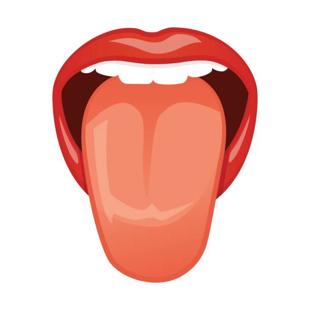 ilustraciones, imágenes clip art, dibujos animados e iconos de stock de de lengua - lengua