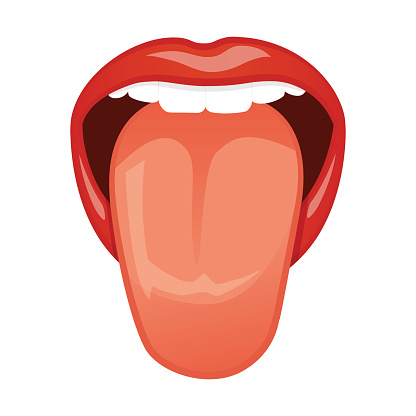 Tongue vector