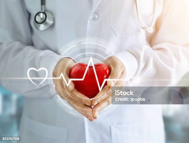Doctor With Stethoscope And Red Heart Shape With Icon Heartbeat In Hands On Hospital Background Stock Photo - Download Image Now