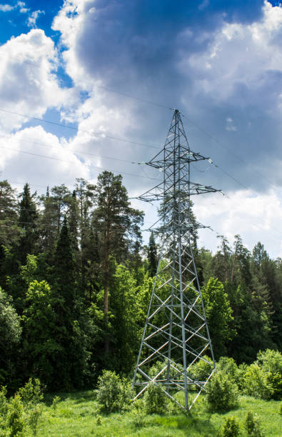 istock Power line in a green forest 823767138
