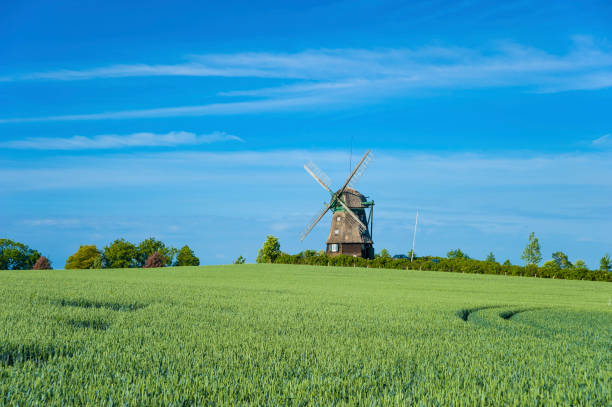 istock Landscape with grain field and view toward the Farver mill 823768294