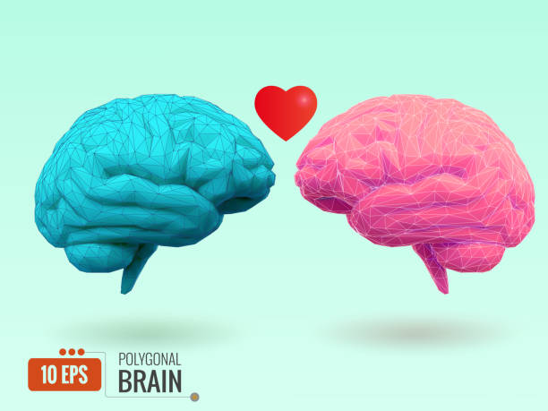 istock Couple of brain in love illustration 823785074