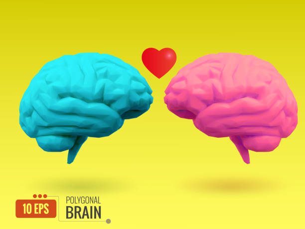 istock Couple of brain in love illustration 823786816