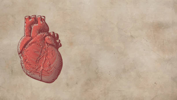 istock Vintage human heart illustration on old paper BG 823787436