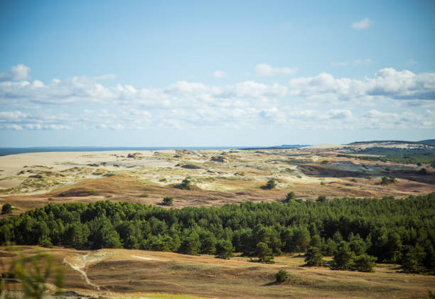 istock A beautiful sand dunes in a Neringa National park 823788300