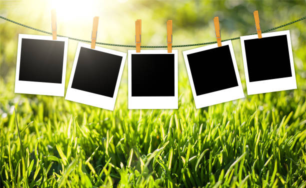 istock Nature background with green grass and photos on rope 823789236