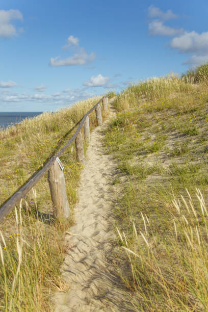istock A beautiful sand dunes in a Neringa National park 823789386