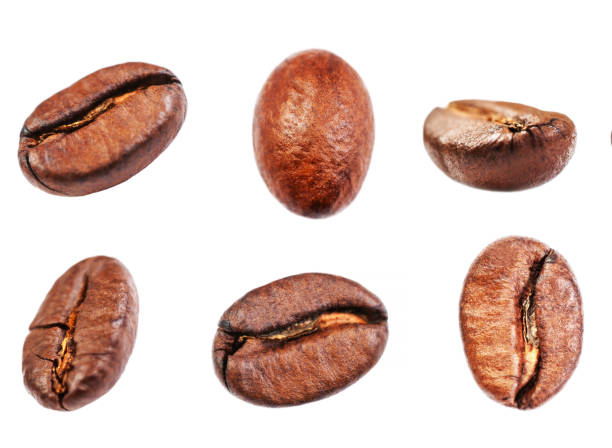 istock Coffee beans collection  Isolated on white background, closeup, macro 